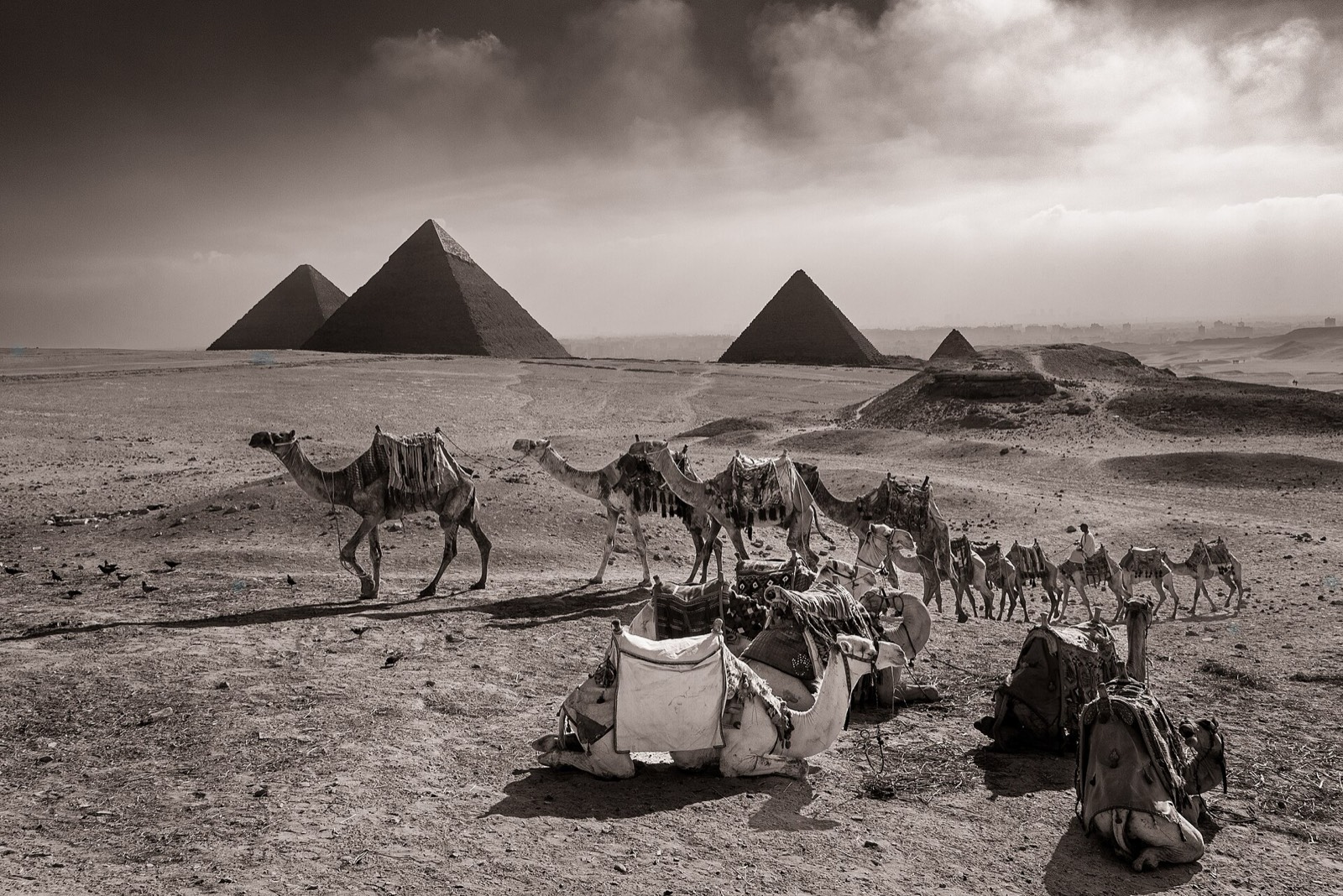 The Giza plateau today